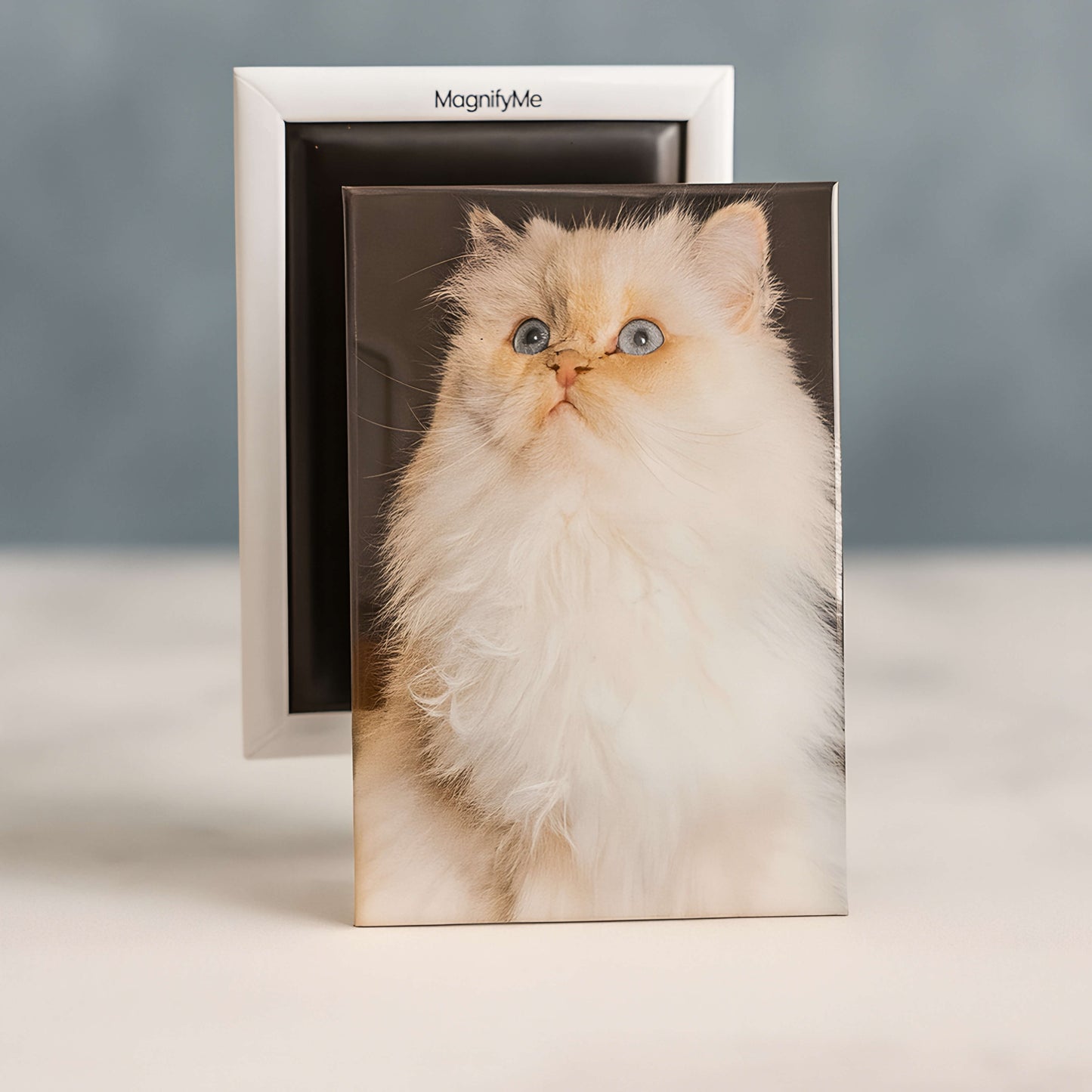 Deluxe Fotomagnet